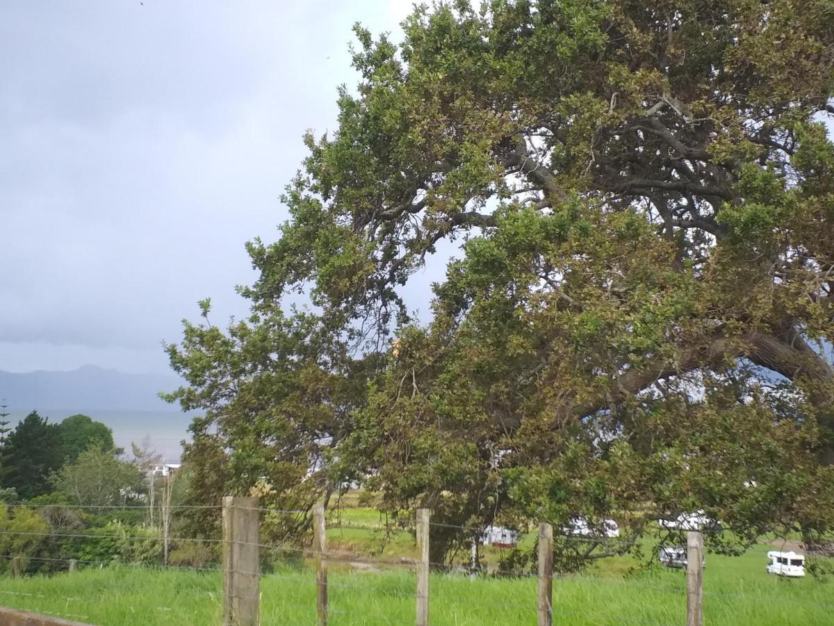 Kaiaua Bayview Farm Apartment Auckland Eksteriør billede